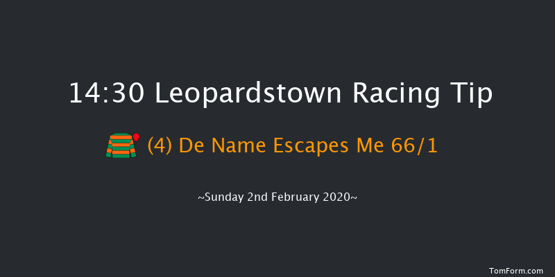 Leopardstown 14:30 Handicap Hurdle 24f Sat 1st Feb 2020