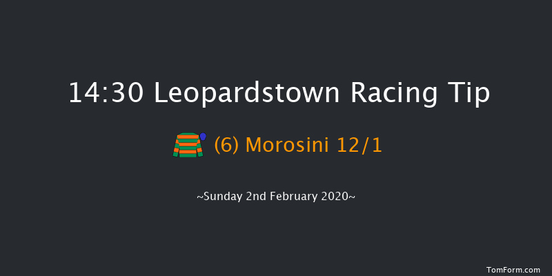 Leopardstown 14:30 Handicap Hurdle 24f Sat 1st Feb 2020