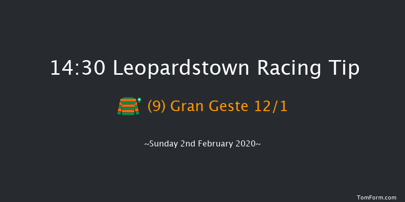 Leopardstown 14:30 Handicap Hurdle 24f Sat 1st Feb 2020