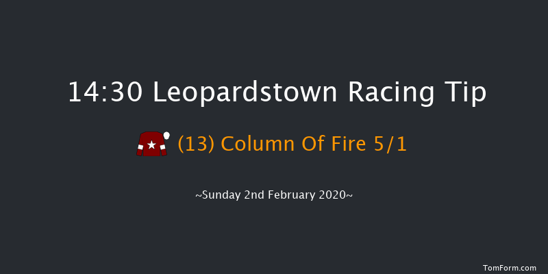 Leopardstown 14:30 Handicap Hurdle 24f Sat 1st Feb 2020