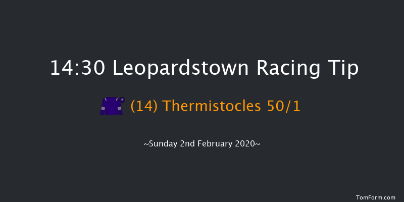 Leopardstown 14:30 Handicap Hurdle 24f Sat 1st Feb 2020