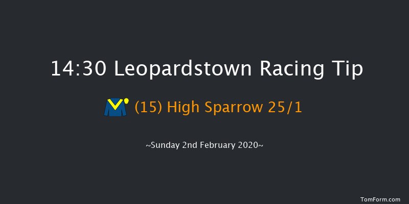 Leopardstown 14:30 Handicap Hurdle 24f Sat 1st Feb 2020