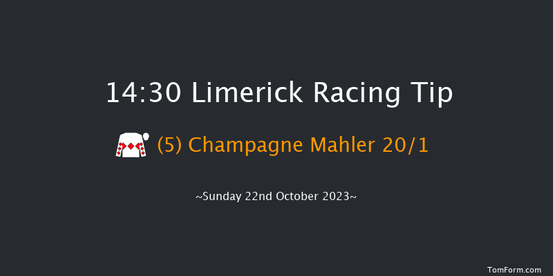 Limerick 14:30 Maiden Hurdle 16f Sat 21st Oct 2023