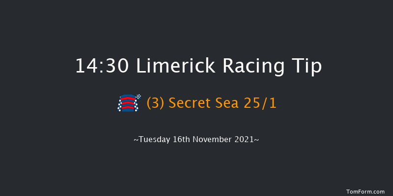 Limerick 14:30 Handicap Hurdle 16f Sat 24th Apr 2021