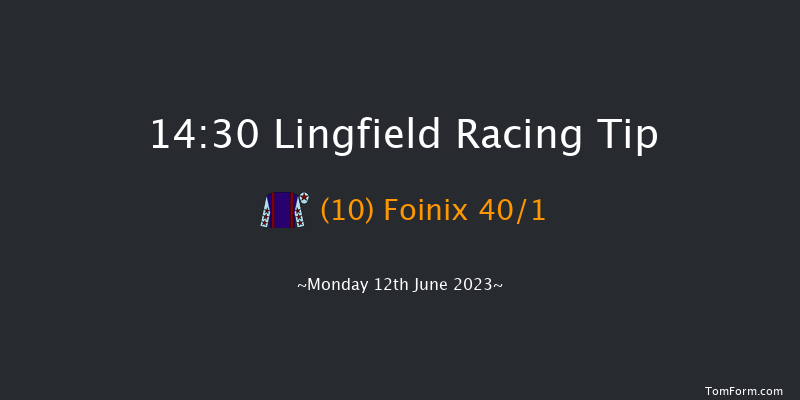 Lingfield 14:30 Handicap (Class 6) 10f Sat 10th Jun 2023