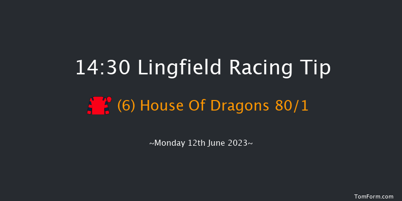 Lingfield 14:30 Handicap (Class 6) 10f Sat 10th Jun 2023