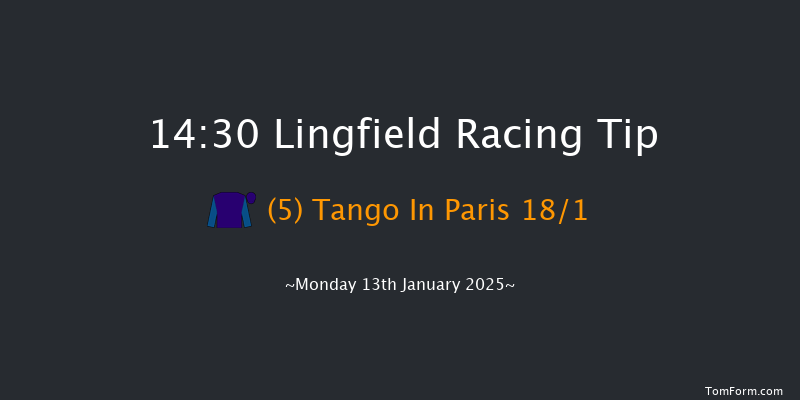 Lingfield  14:30 Handicap (Class 6) 8f Sun 12th Jan 2025