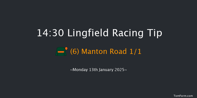 Lingfield  14:30 Handicap (Class 6) 8f Sun 12th Jan 2025