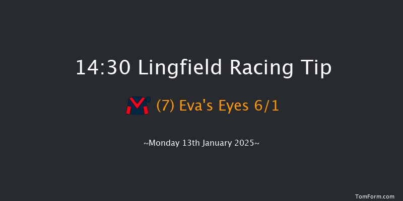 Lingfield  14:30 Handicap (Class 6) 8f Sun 12th Jan 2025