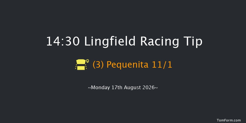 Lingfield 14-30 (Class 5) 8f Sat 15th Aug 2026