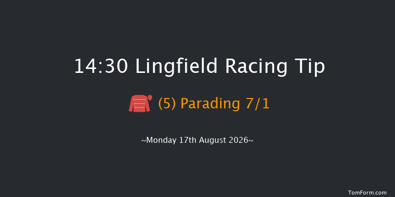Lingfield 14-30 (Class 5) 8f Sat 15th Aug 2026