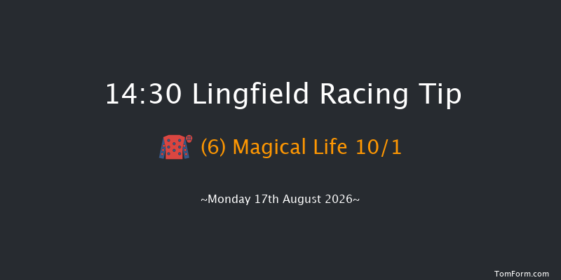 Lingfield 14-30 (Class 5) 8f Sat 15th Aug 2026