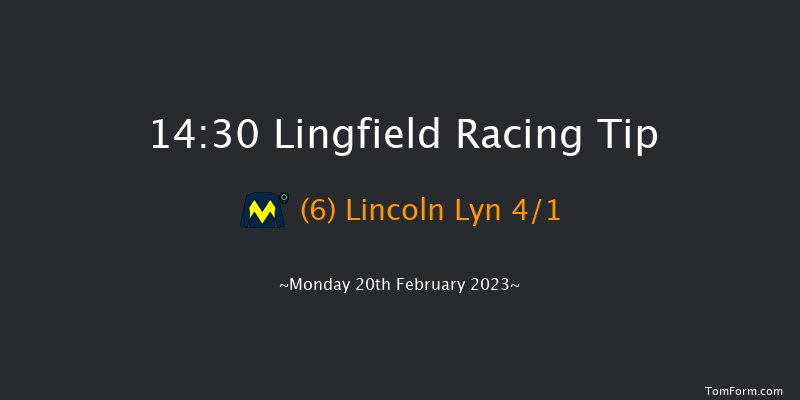 Lingfield 14:30 Handicap Chase (Class 4) 20f Sat 18th Feb 2023