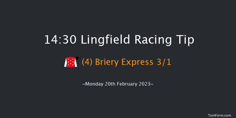 Lingfield 14:30 Handicap Chase (Class 4) 20f Sat 18th Feb 2023