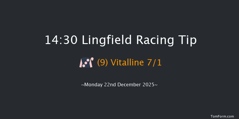 Lingfield 14-30 (Class 6) 7f Sun 21st Dec 2025