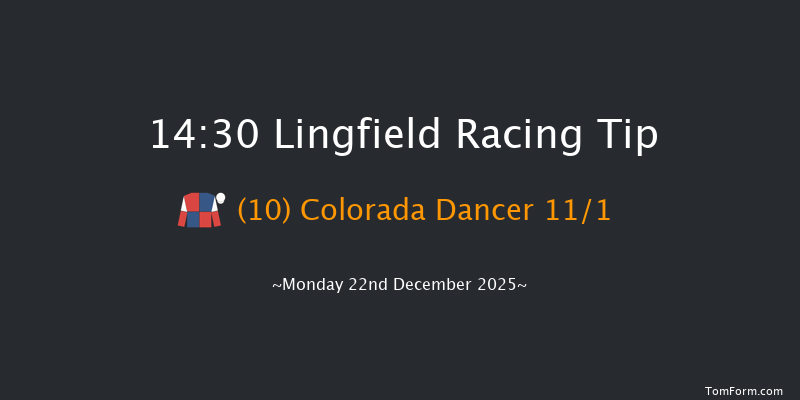 Lingfield 14-30 (Class 6) 7f Sun 21st Dec 2025