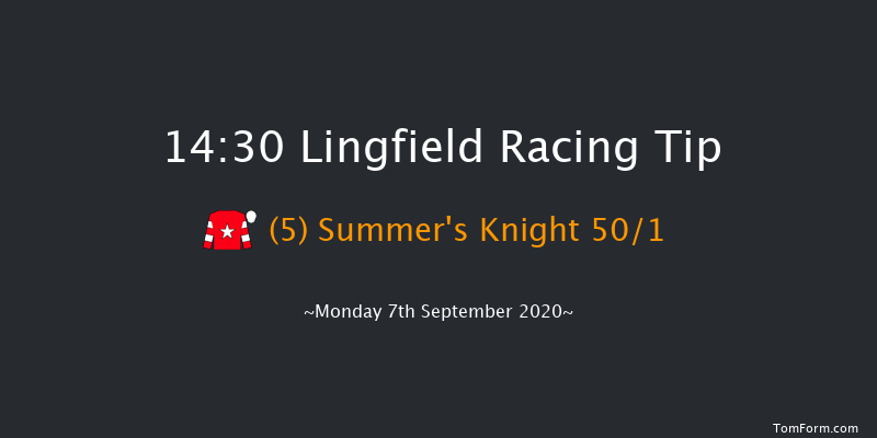 Betway/EBF Novice Stakes Lingfield 14:30 Stakes (Class 5) 7f Wed 2nd Sep 2020