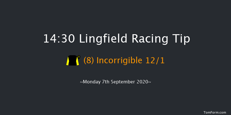 Betway/EBF Novice Stakes Lingfield 14:30 Stakes (Class 5) 7f Wed 2nd Sep 2020