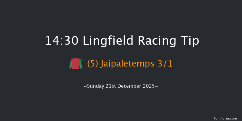 Lingfield 14-30 (Class 4) 16f Wed 17th Dec 2025