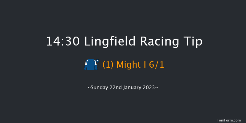 Lingfield 14:30 Handicap Hurdle (Class 2) 16f Sat 21st Jan 2023