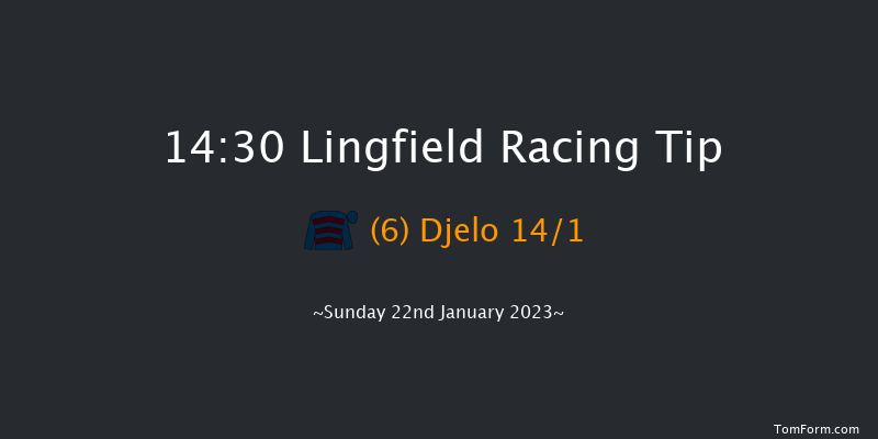 Lingfield 14:30 Handicap Hurdle (Class 2) 16f Sat 21st Jan 2023
