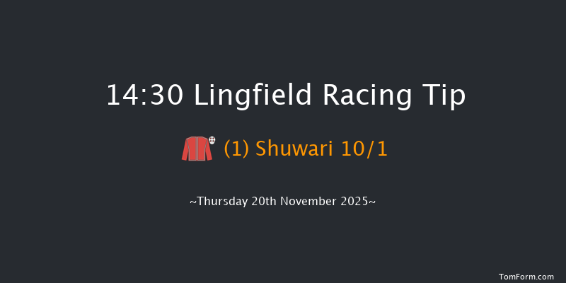 Lingfield 14-30 (Class 1) 8f Tue 18th Nov 2025