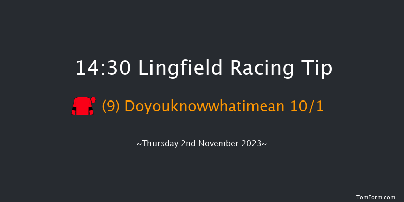 Lingfield 14:30 Handicap Chase (Class 4) 20f Wed 1st Nov 2023