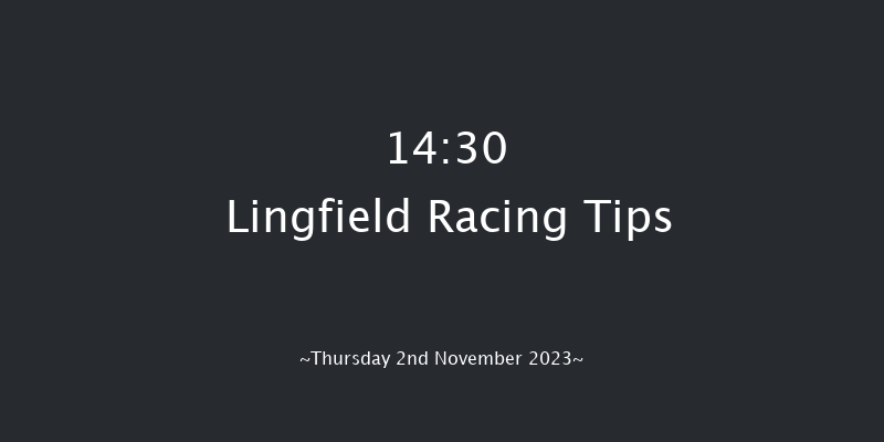 Lingfield 14:30 Handicap Chase (Class 4) 20f Wed 1st Nov 2023