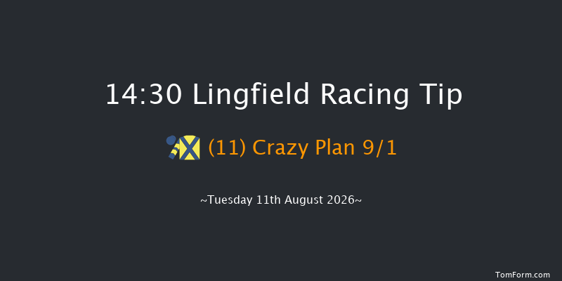 Lingfield 14-30 (Class 6) 10f Sat 8th Aug 2026