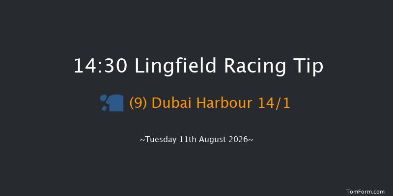 Lingfield 14-30 (Class 6) 10f Sat 8th Aug 2026