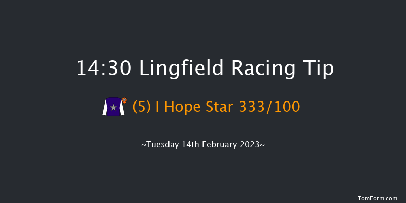 Lingfield 14:30 Novices Hurdle (Class 4) 16f Sat 11th Feb 2023