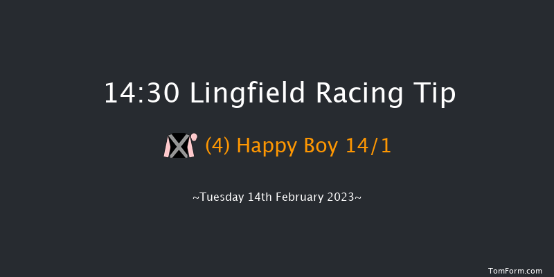 Lingfield 14:30 Novices Hurdle (Class 4) 16f Sat 11th Feb 2023
