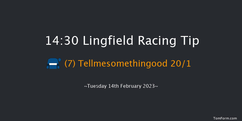 Lingfield 14:30 Novices Hurdle (Class 4) 16f Sat 11th Feb 2023
