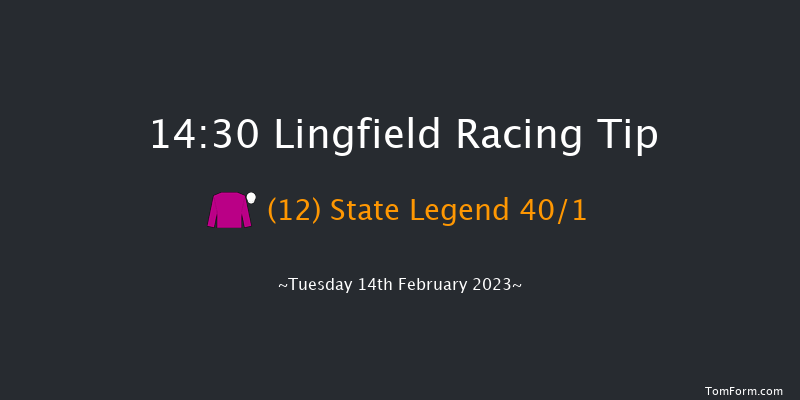 Lingfield 14:30 Novices Hurdle (Class 4) 16f Sat 11th Feb 2023