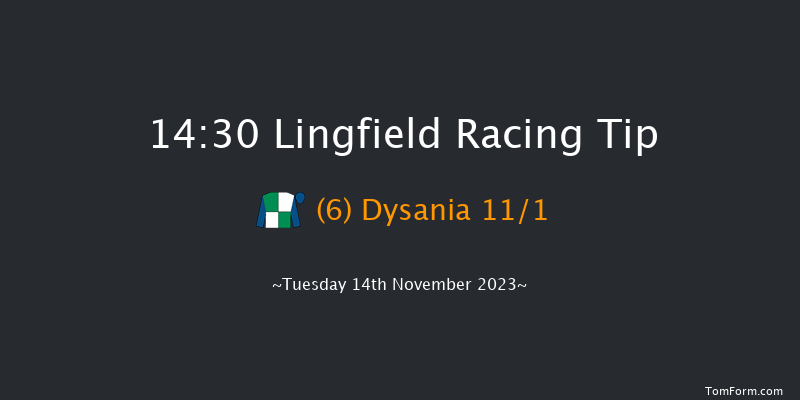 Lingfield 14:30 Handicap Chase (Class 5) 24f Tue 7th Nov 2023