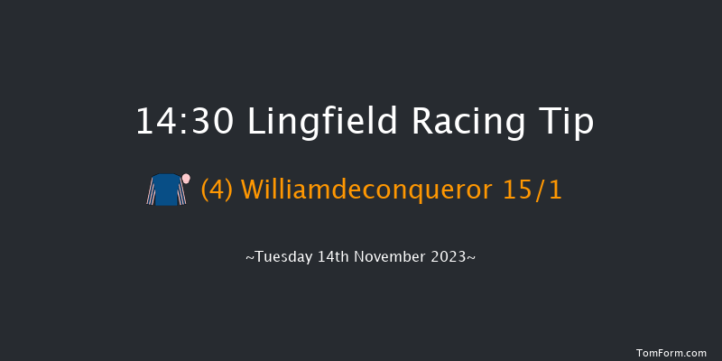 Lingfield 14:30 Handicap Chase (Class 5) 24f Tue 7th Nov 2023
