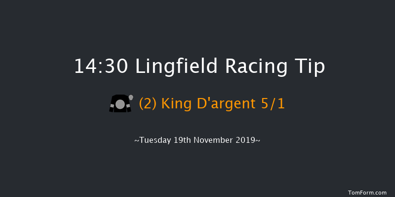 Lingfield 14:30 Handicap Hurdle (Class 3) 20f Sat 16th Nov 2019