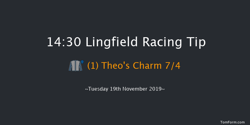 Lingfield 14:30 Handicap Hurdle (Class 3) 20f Sat 16th Nov 2019