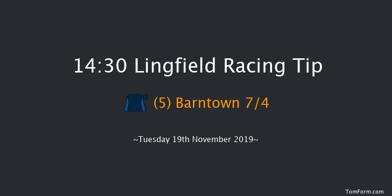 Lingfield 14:30 Handicap Hurdle (Class 3) 20f Sat 16th Nov 2019