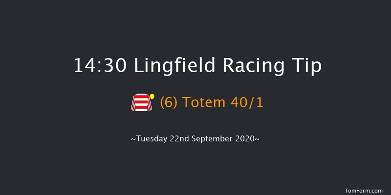 Betway Maiden Auction Stakes (Div 1) Lingfield 14:30 Maiden (Class 5) 8f Mon 14th Sep 2020