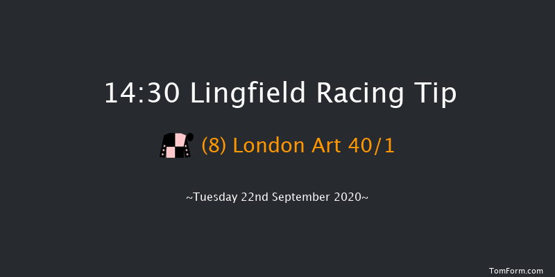 Betway Maiden Auction Stakes (Div 1) Lingfield 14:30 Maiden (Class 5) 8f Mon 14th Sep 2020