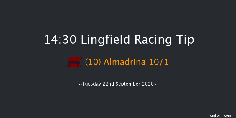 Betway Maiden Auction Stakes (Div 1) Lingfield 14:30 Maiden (Class 5) 8f Mon 14th Sep 2020