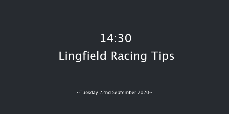 Betway Maiden Auction Stakes (Div 1) Lingfield 14:30 Maiden (Class 5) 8f Mon 14th Sep 2020