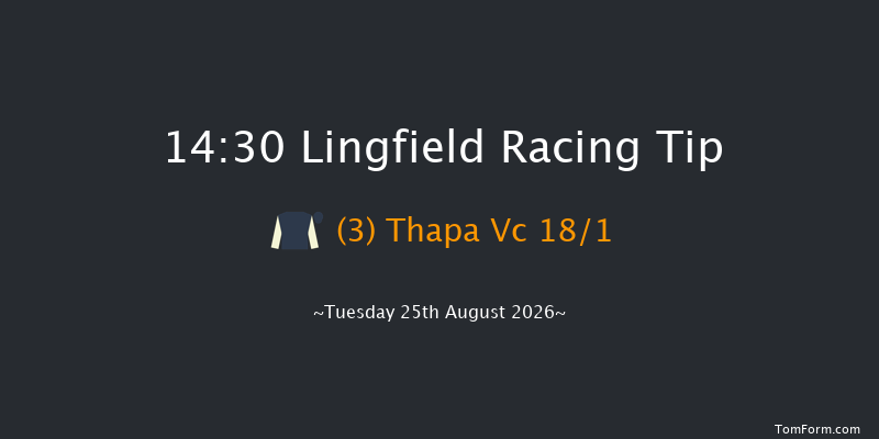 Lingfield 14-30 (Class 5) 8f Sat 22nd Aug 2026