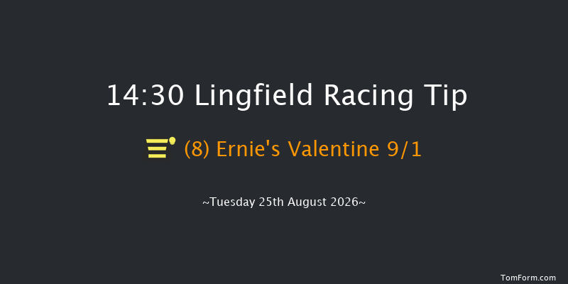 Lingfield 14-30 (Class 5) 8f Sat 22nd Aug 2026