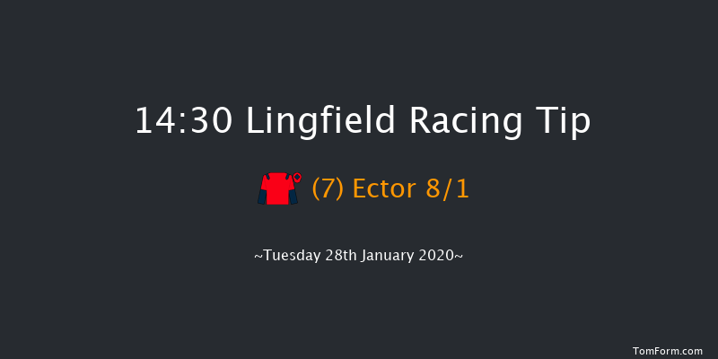 Lingfield 14:30 Handicap Chase (Class 5) 24f Sat 25th Jan 2020