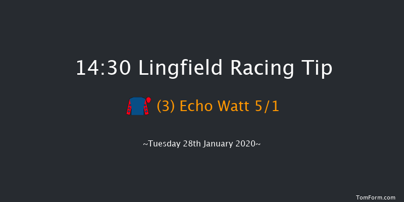 Lingfield 14:30 Handicap Chase (Class 5) 24f Sat 25th Jan 2020