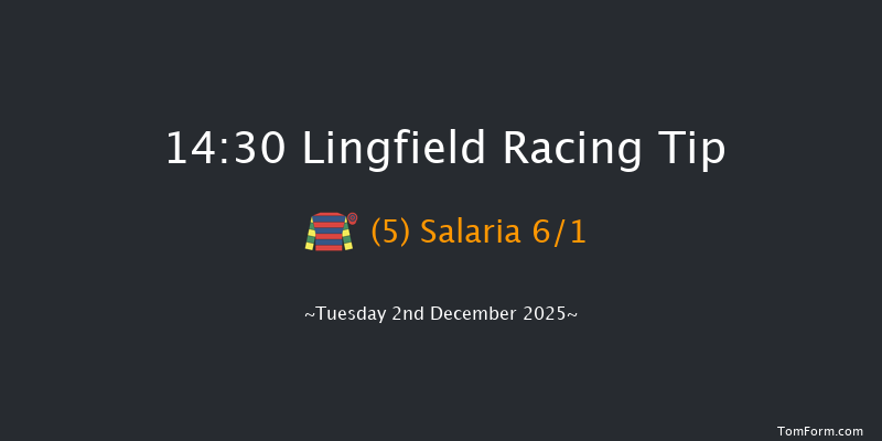 Lingfield 14-30 (Class 6) 10f Thu 27th Nov 2025