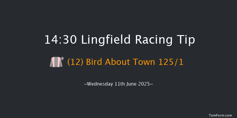 Lingfield 14-30 (Class 6) 11f Sat 7th Jun 2025