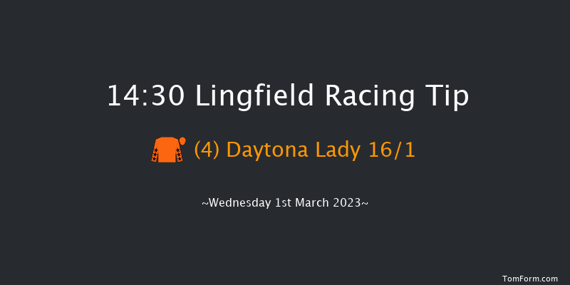 Lingfield 14:30 Handicap (Class 5) 6f Sat 25th Feb 2023